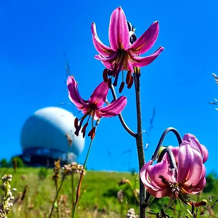 Peterchens Mondfahrt - Wasserkuppe Ξενοδοχείο