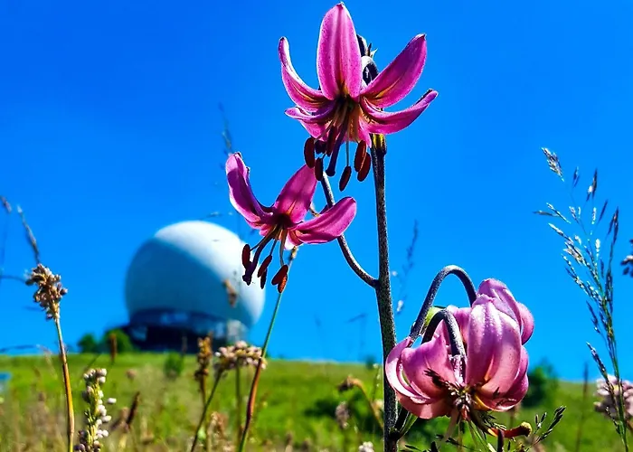 Peterchens Mondfahrt - Wasserkuppe Отель